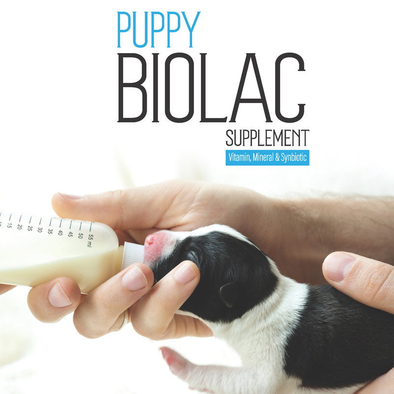 شیر خشک بایو پت مدل Puppy BioLac وزن 400 گرم