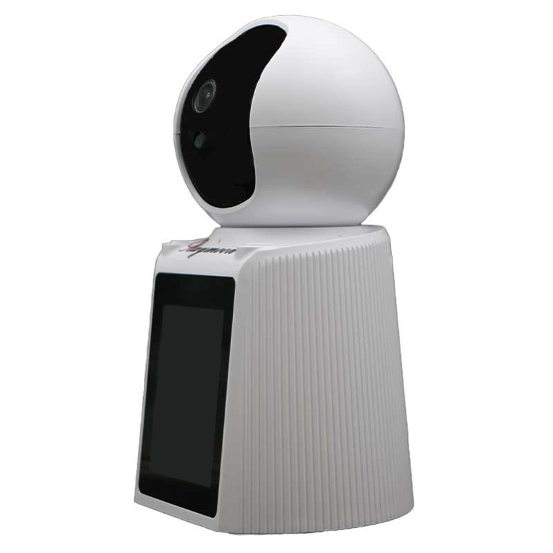 دوربین مداربسته تحت شبکه رایمون مدل 2 مگاپیکسل کد RW-300