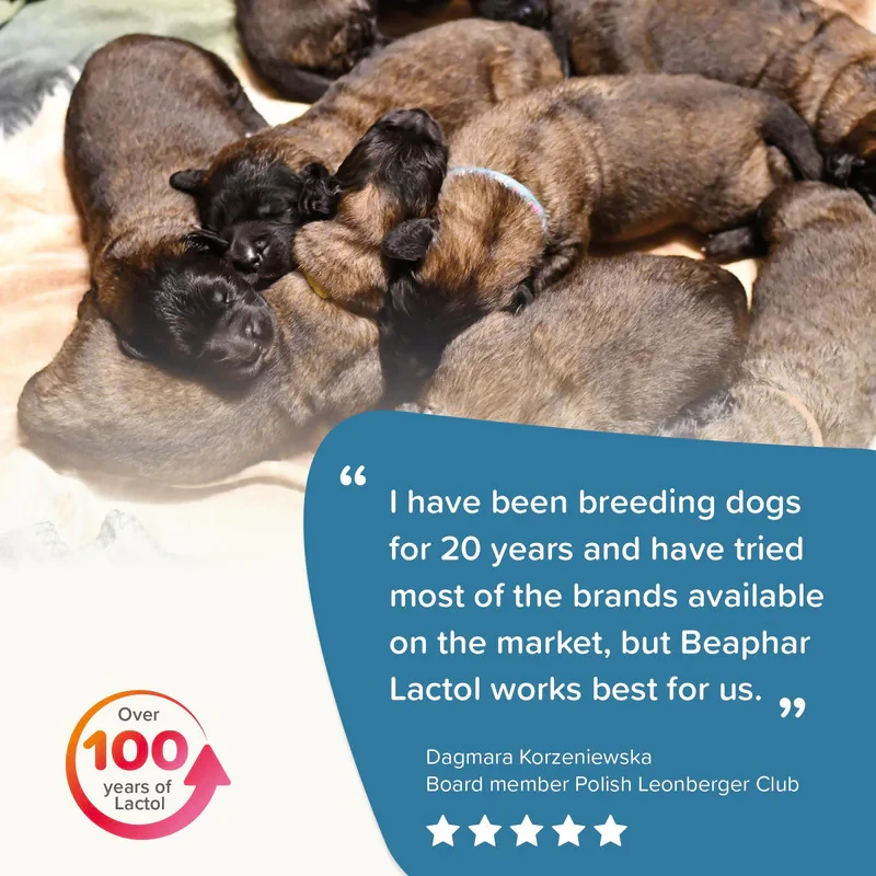 شیر خشک سگ بیفار مدل lactol pupy وزن 250 گرم