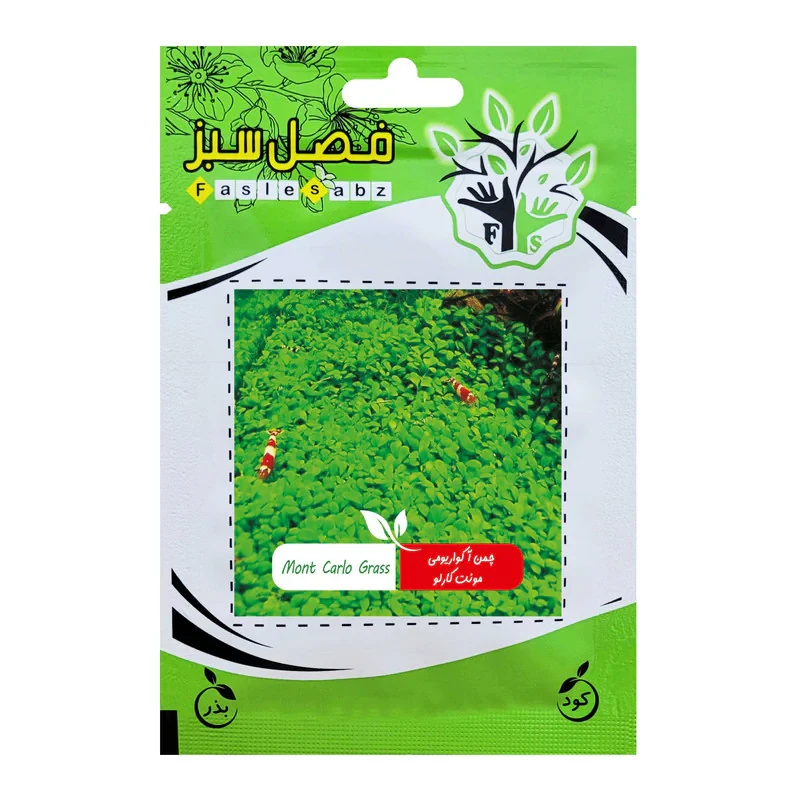 بذر چمن آکواریوم مونت کارلو مدل 001