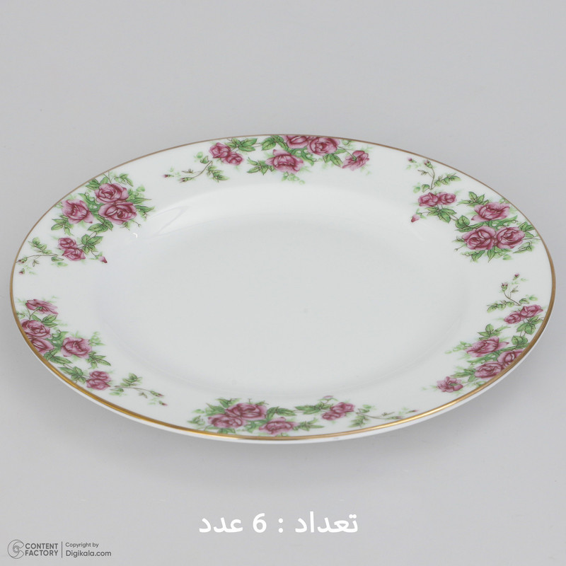 سرویس غذاخوری 28 پارچه چینی زرین ایران سری ایتالیا اف مدل Bidgol درجه یک