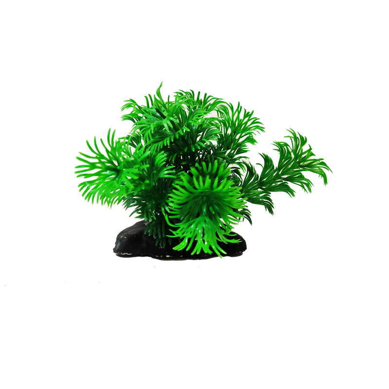 گیاه تزیینی آکواریوم کد VB07 مجموعه 5 عددی