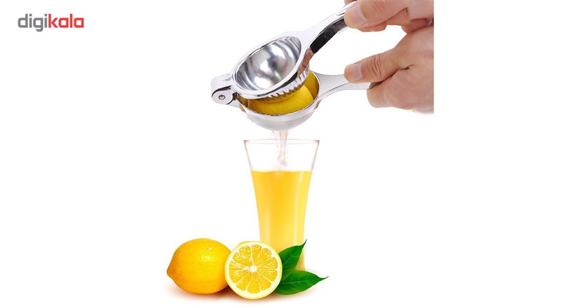 آب مرکبات گیر دستی رجینال مدل شنگیا