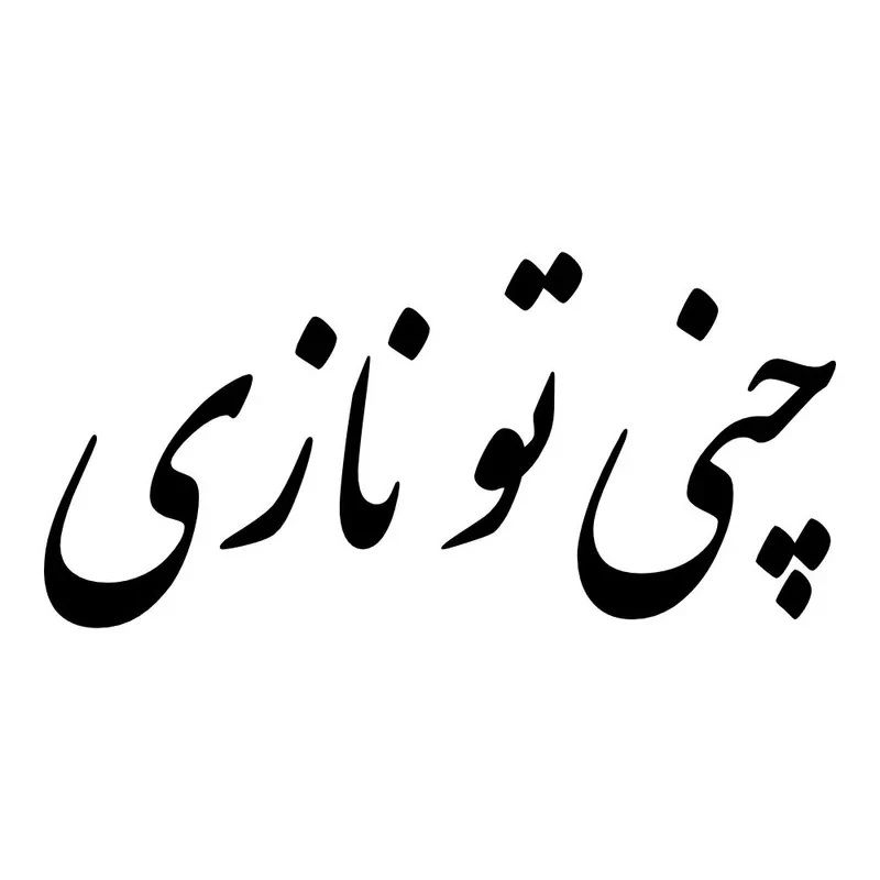 برچسب بدنه خودرو طرح چنی تو نازی کد MT-B484