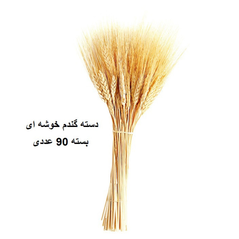 دسته گل خشک مدل خوشه گندم کد 90