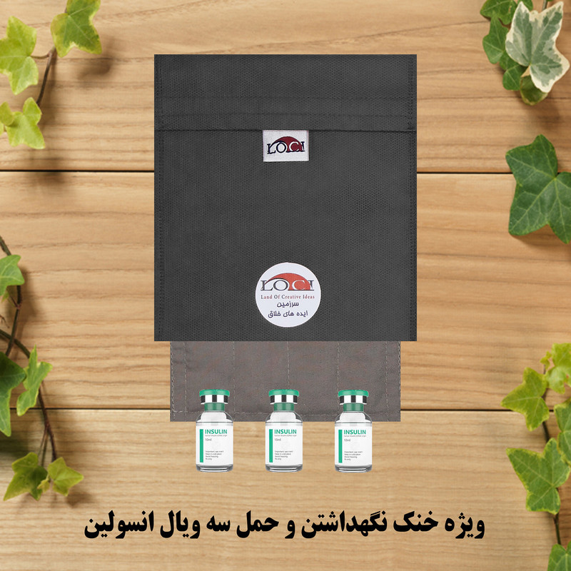 کیف خنک نگهدارنده انسولین لوک آی مدل 3 ویال کد 01 مجموعه 2 عددی
