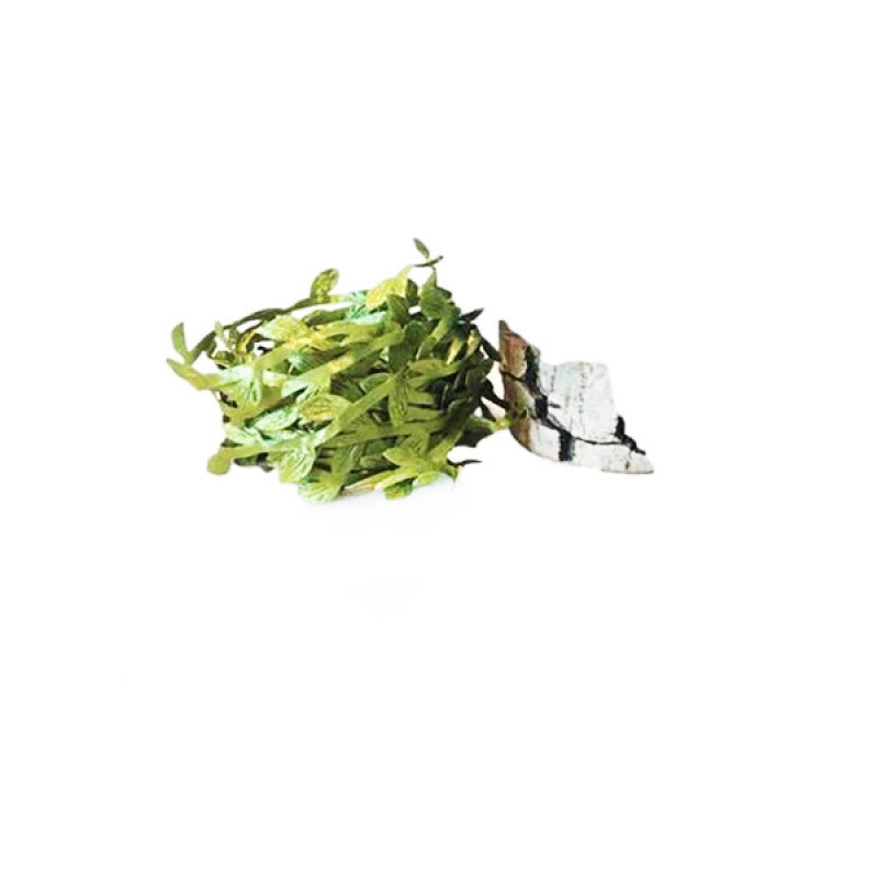 گل مصنوعی ریسه برگ پارچه‌ای طول 12 متر، مناسب تزئین تاج و لباس کودکان و نوجوانان، طول هر برگ 1.5 سانتی‌متر، وزن 10 گرم