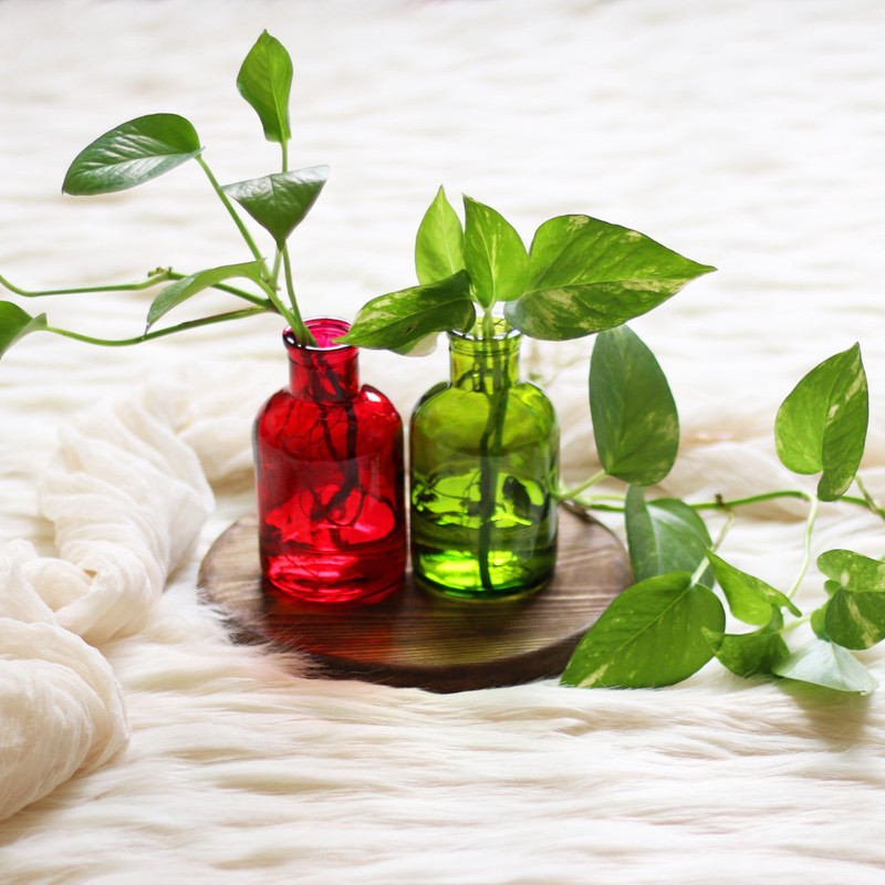 گلدان دکوری شیشه‌ای مدل SD24، مناسب قلمه‌ زدن گیاهان و گل و گیاه طبیعی و خشک، مجموعه 2 عددی، ابعاد 14x12x12 سانتی‌متر، وزن 200 گرم