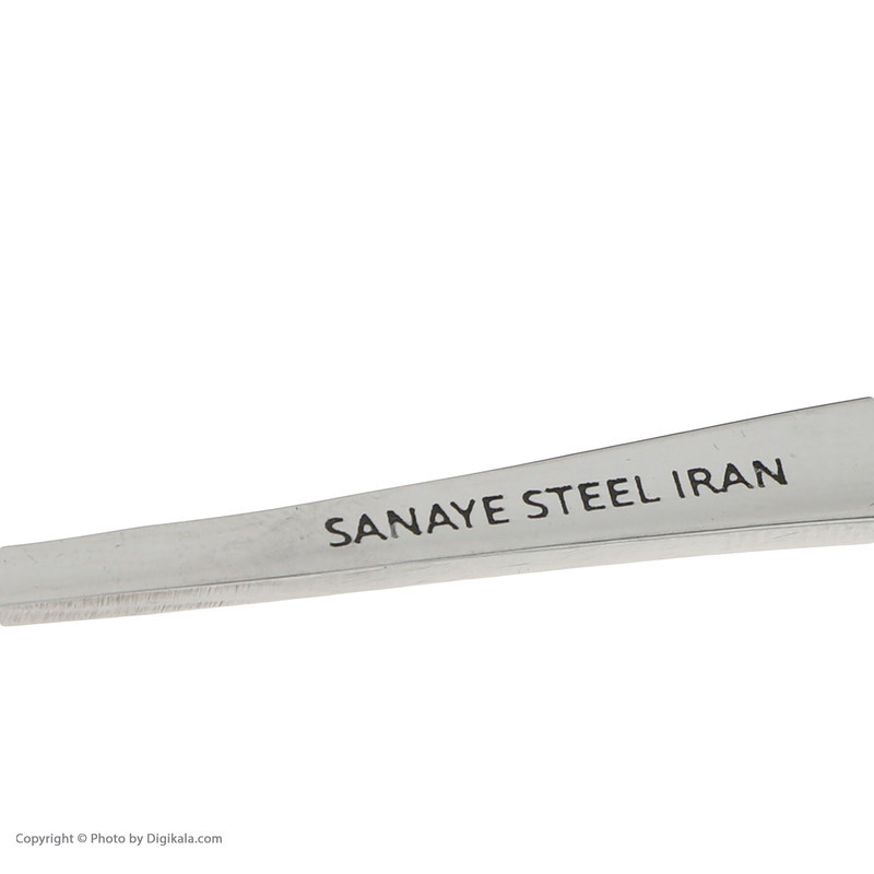 قاشق چای خوری صنایع استیل ایران مدل پارما مجموعه شش عددی