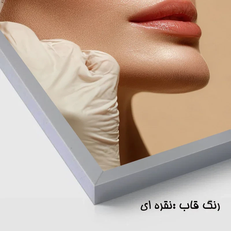 تابلو بکلیت طرح سالن زیبایی و بوتاکس صورت مدل SI-4079 فریم نقره ای مجموعه 3 عددی