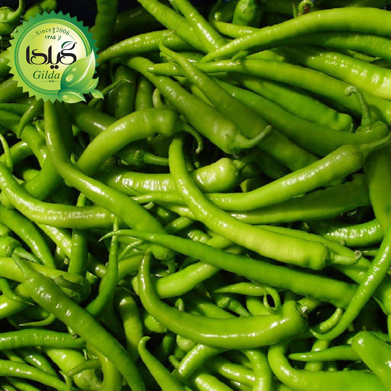 بذر فلفل شیرین قلمی گیلدا کد 353