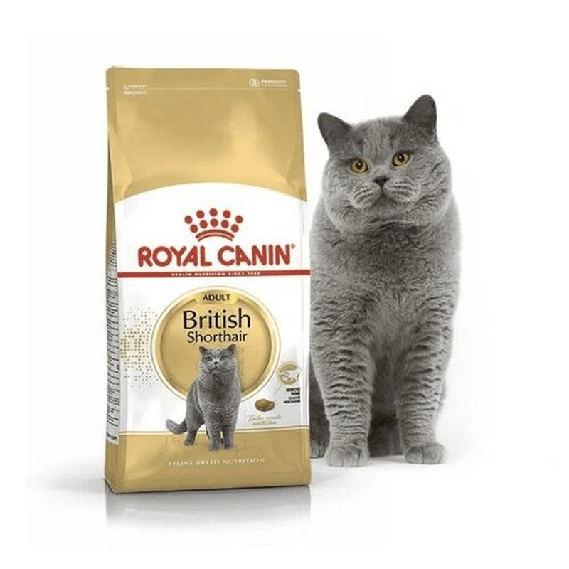غذای خشک گربه بریتیش رویال کنین مدل British Shorthair وزن 2 کیلوگرم