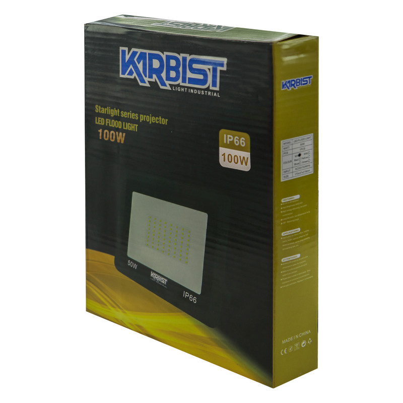 پرژکتور 100 وات کاربیست مدل SMD_M کد IP66