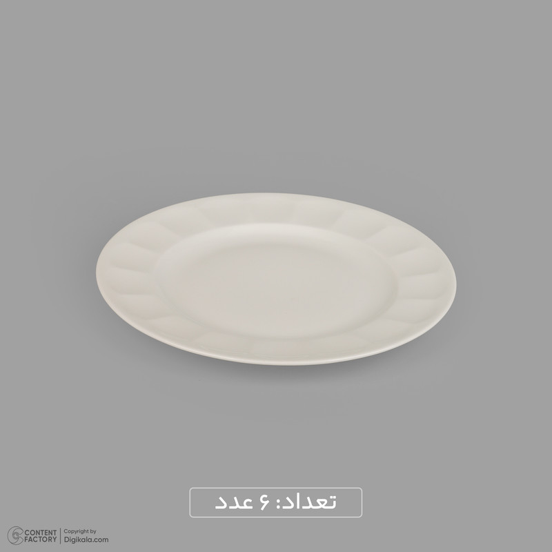 سرویس غذاخوری 29 پارچه 6 نفر چینی زرین ایران مدل نئوکلاسیک سفید درجه 3