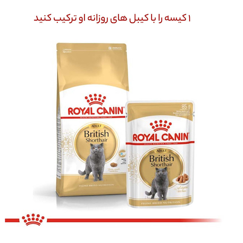 غذای خشک گربه بالغ رویال کنین مدل British shorthair adult وزن 2 کیلوگرم به همراه بستنی