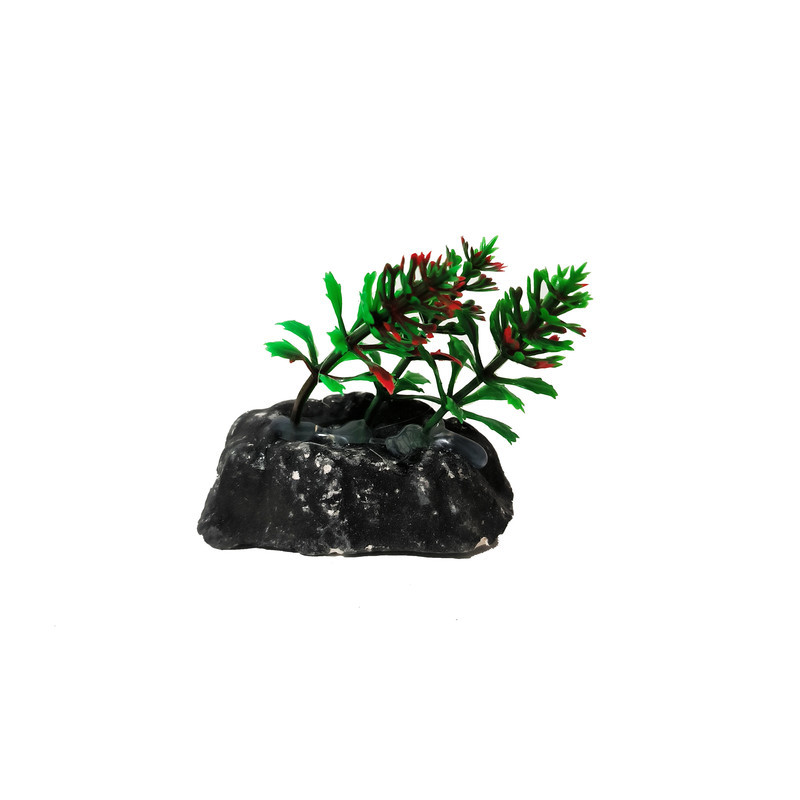 گیاه تزیینی آکواریوم کد VB09 مجموعه 10 عددی