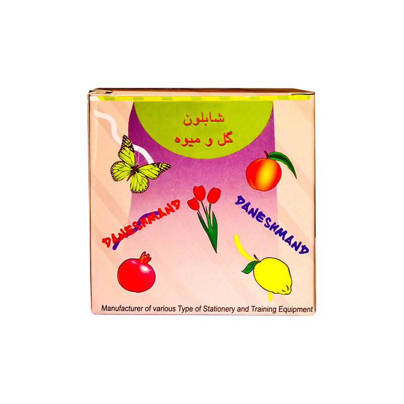 شابلون دانشمند مدل گل و میوه مجموعه 12 عددی
