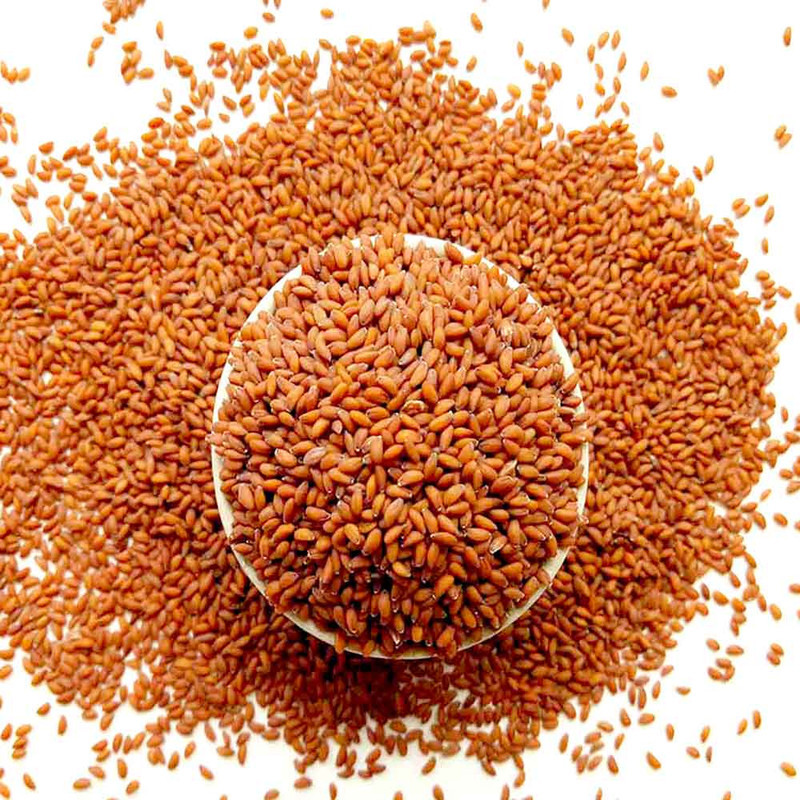 غذای پرندگان مدل تخم شاهی وزن 500 گرم