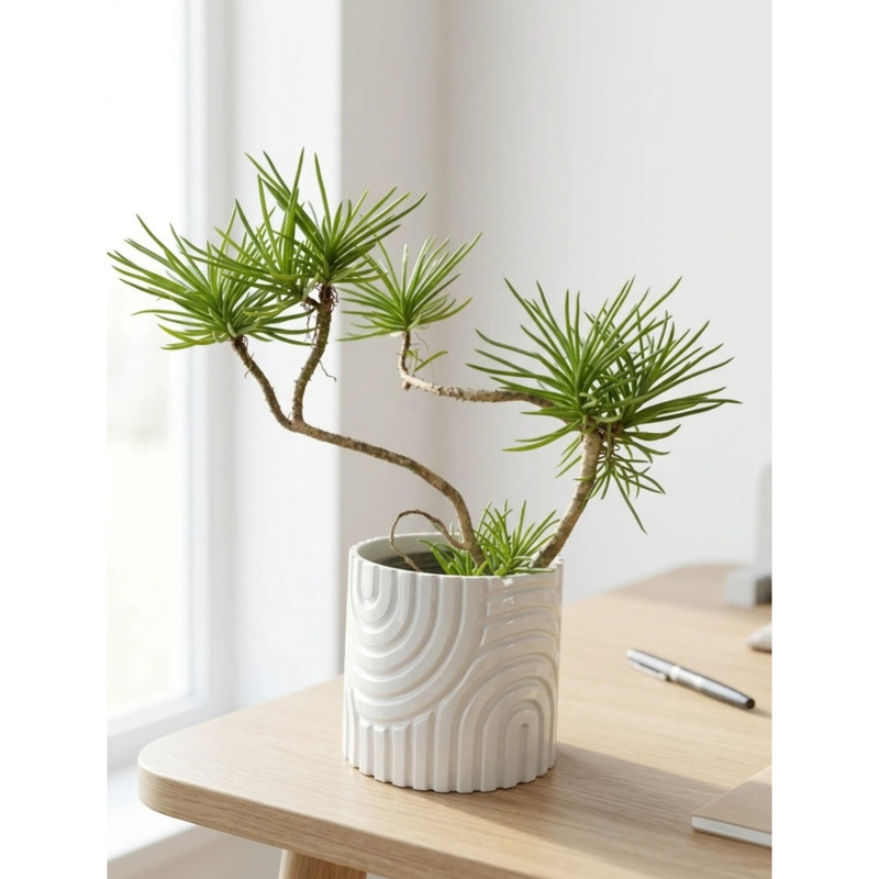 گلدان دکوری بدون پایه مدل تپه شنی (Sand Dune) مجموعه 3 عددی رومیزی با پرینت سه‌بعدی FDM از پلیمر PLA+ مناسب کاکتوس و گیاهان آپارتمانی و فضای باز با قطر دهانه 10، 15 و 20 سانتی‌متر