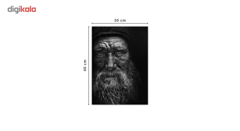 تابلو شاسی ونسونی طرح Stare To The Death سایز 30x40 سانتی متر
