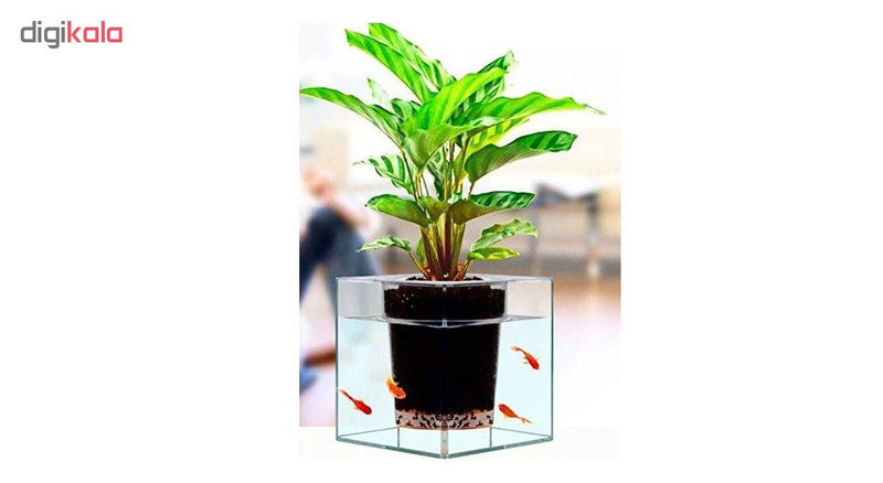گلدان طرح آکواریوم کد ck106
