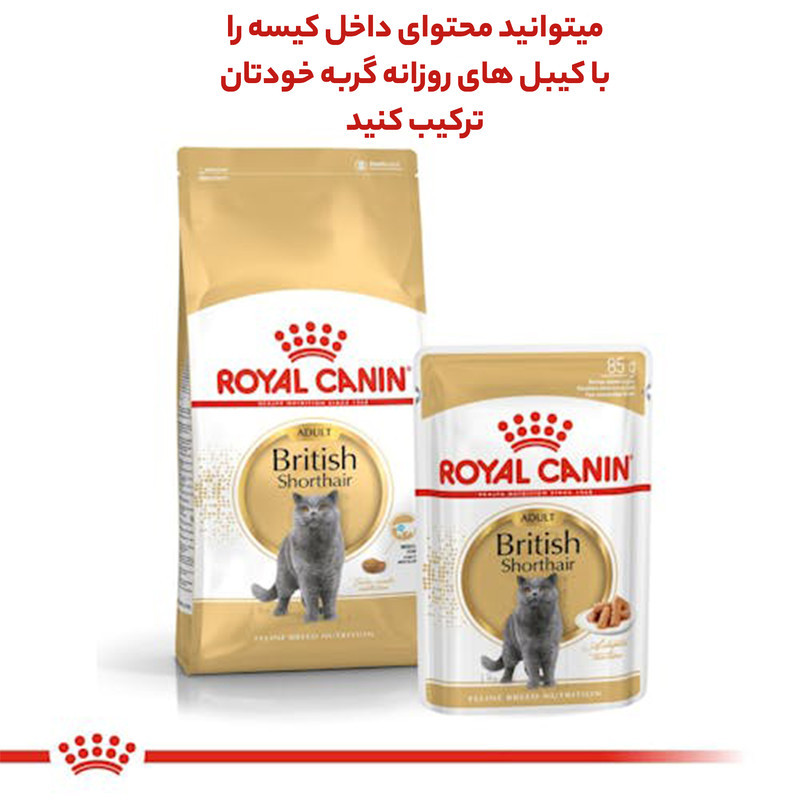 غذای خشک گربه رویال کنین مدل british shorthair adult وزن 4000 گرم