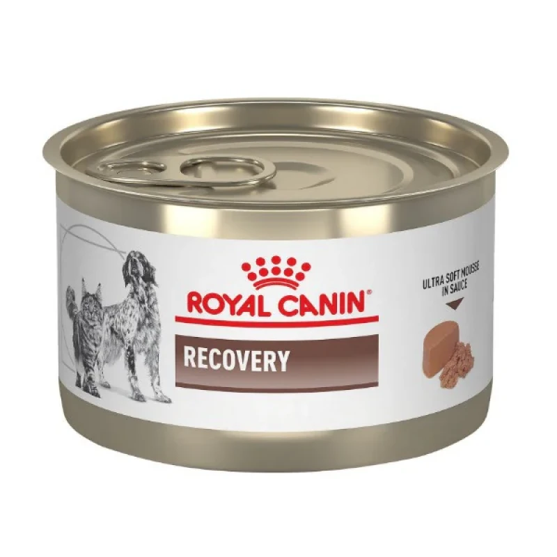 پوچ گربه و سگ رویال کنین مدل recovery طعم گوشت - 195 گرم