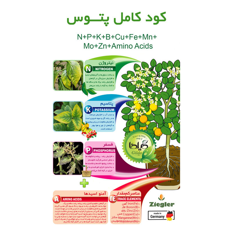 کود کامل پتوس گیلدا مدل GPT حجم 120 میلی لیتر