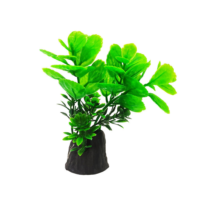 گیاه تزیینی آکواریوم کد N13 بسته 5 عددی