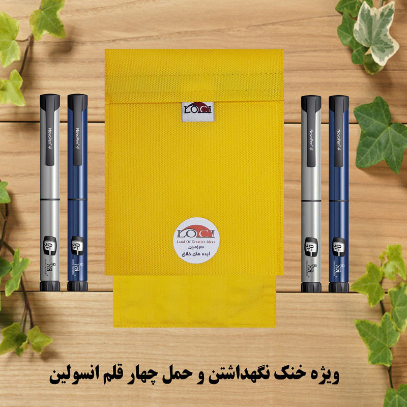 کیف خنک نگهدارنده انسولین لوک آی مدل 4 قلم کد 00 مجموعه 2 عددی