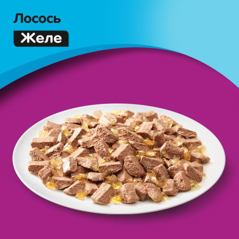 غذای پوچ گربه ویسکاس مدل ماهی قزل آلا وزن 75 گرم