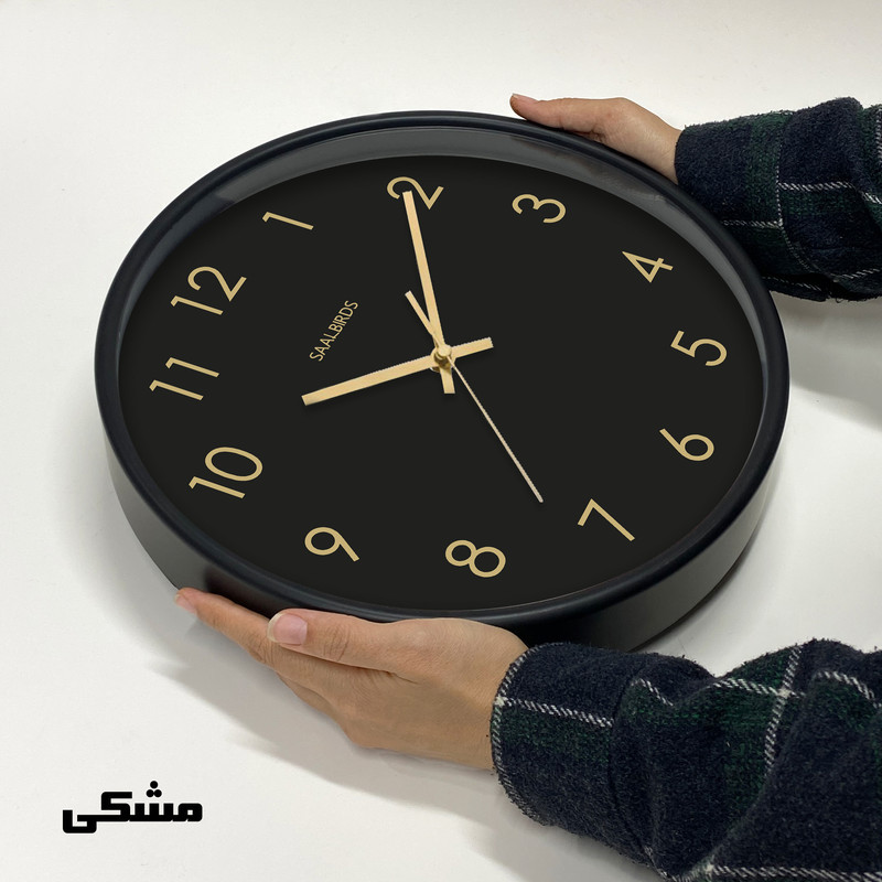 ساعت دیواری کوارتز سال بردز طرح مینیمال مدل CW-960TL