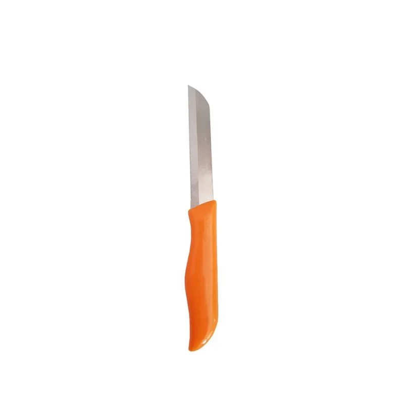کارد میوه خوری فاردینوکس کد AK44