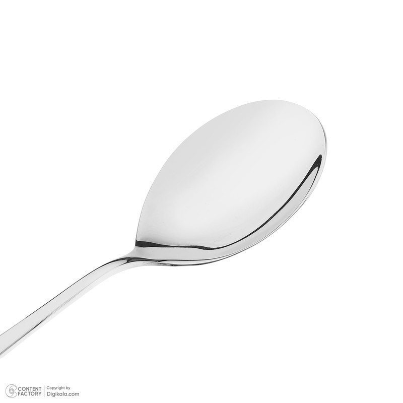 قاشق خورشت رزالی مدل large زولینگن