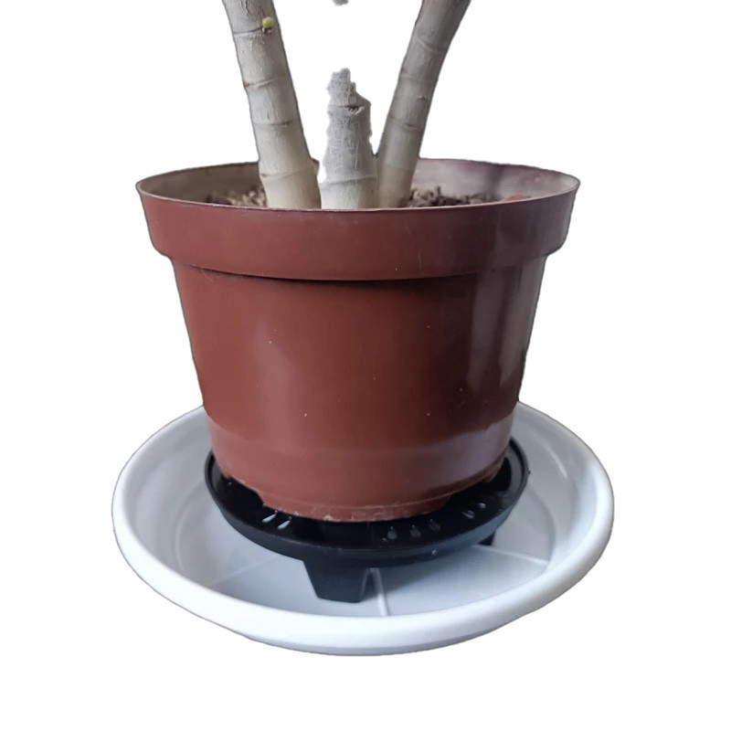 زیرگلدانی مدل جزیزه کد 12.5cm بسته 2 عددی