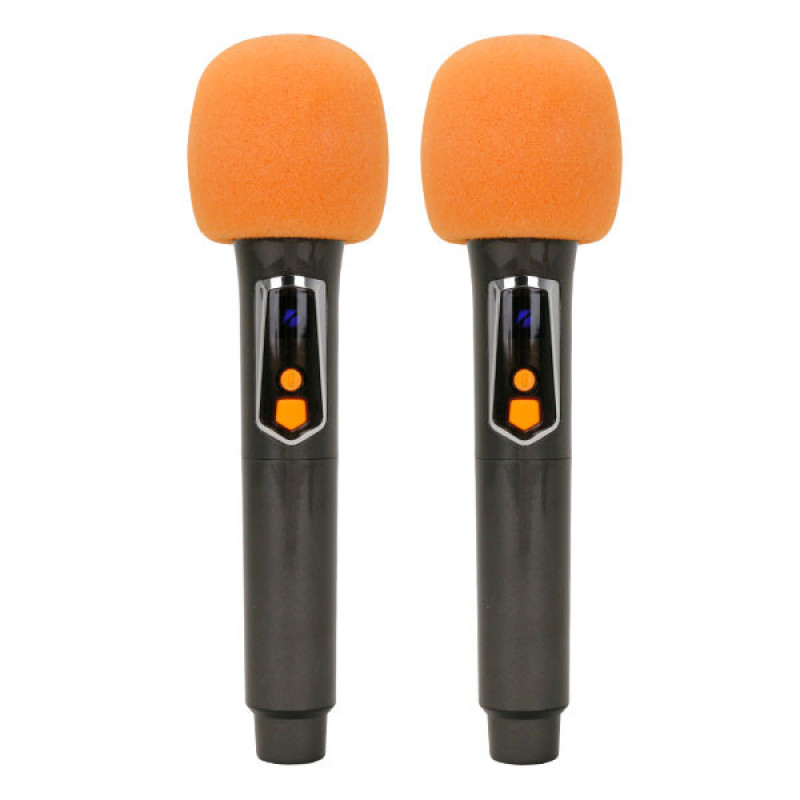 اسپیکر بلوتوثی قابل حمل برودو مدل BTS-2100