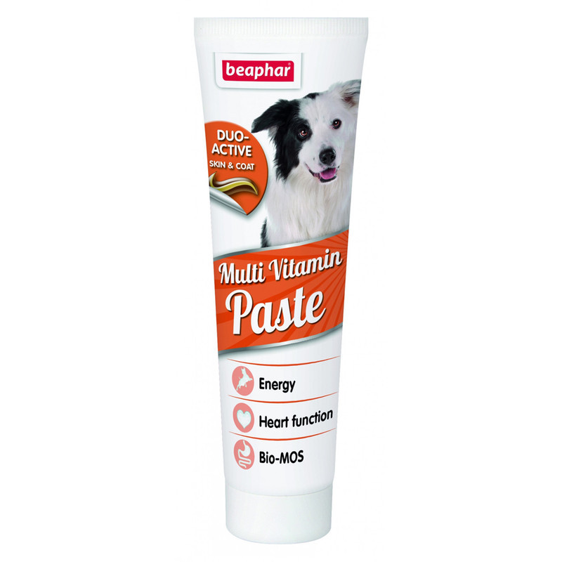 خمیر مولتی ویتامین سگ بالغ بیفار مدل Beaphar Multi Vitamin Paste وزن 100 گرم