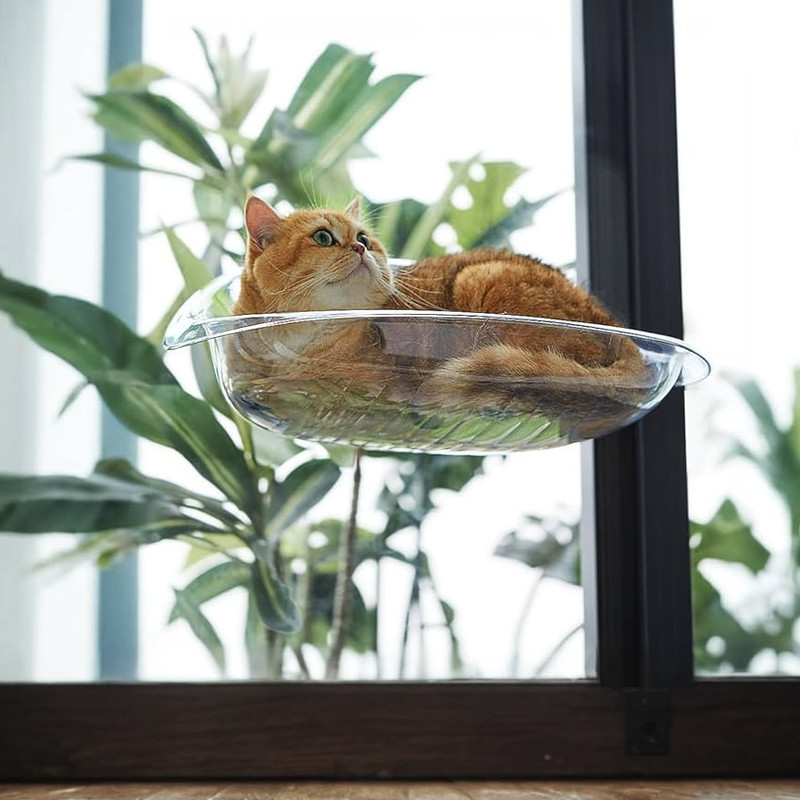جای خواب گربه مدل پنجره ای