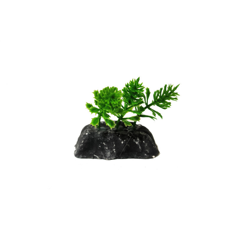 گیاه تزیینی آکواریوم کد VB09 مجموعه 10 عددی