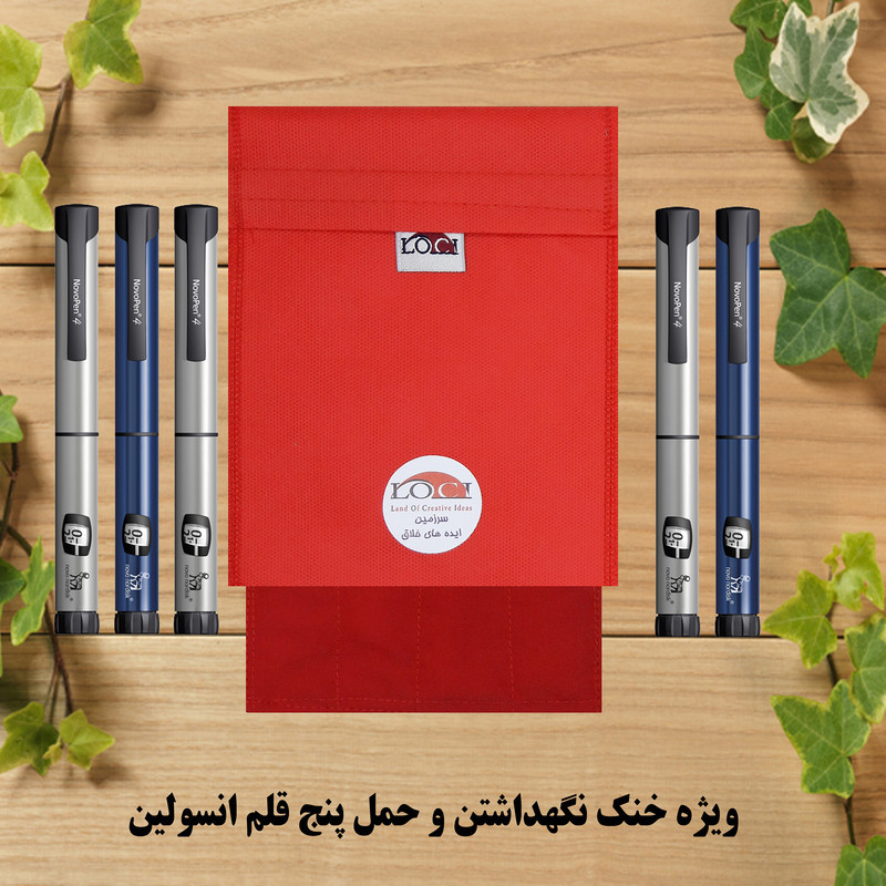 کیف خنک نگهدارنده انسولین لوک آی مدل 5 قلم کد 00 مجموعه 2 عددی