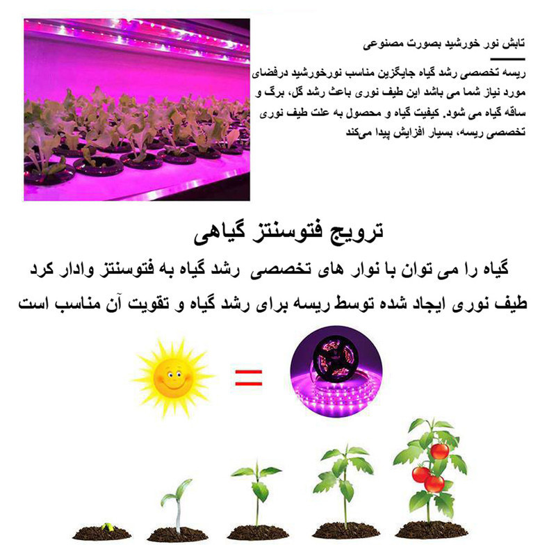 لامپ رشد گیاه 36 وات لومینوس مدل فول طیف و اسپکتروم کد USB طول 2 متر