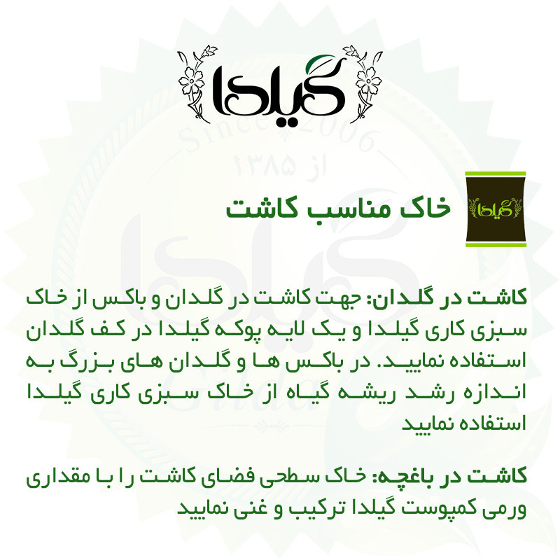 بذر سبزی خوردن گیلدا کد 097 مجموعه 10 عددی