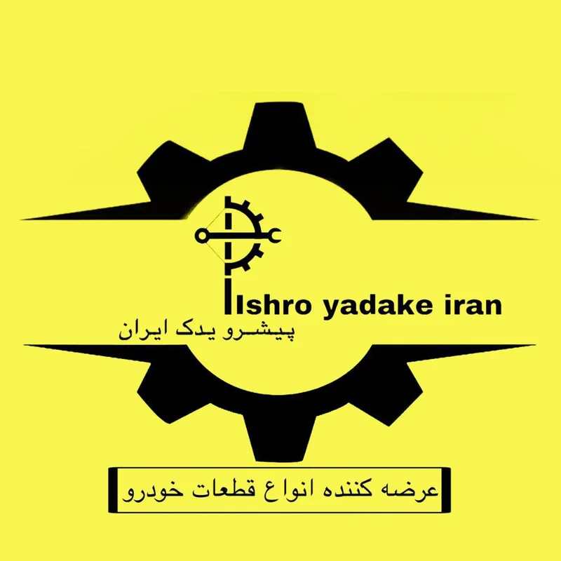زه بغل درب خودرو پیشرو یدک ایران کد 90 مناسب برای پژو 206 بسته 4 عددی