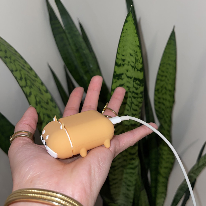 کاور مدل shiba مناسب برای کیس اپل Airpod 12