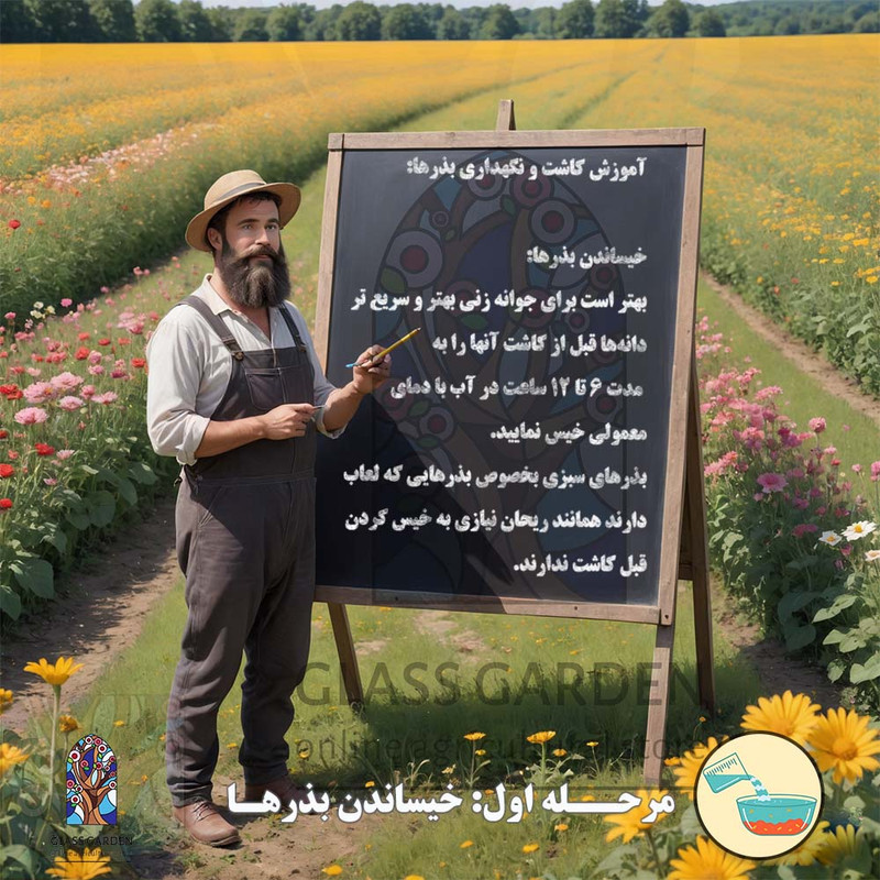 بذر کدو تنبل غول پیکر گلس گاردن مدل GL02