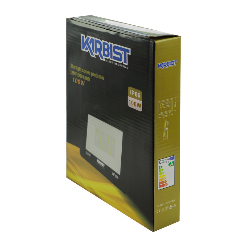 پرژکتور 100 وات کاربیست مدل SMD_M کد IP66
