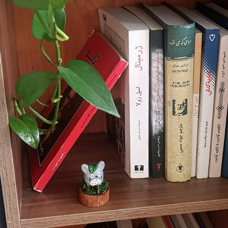 مجسمه مدل توتورو کد ۰۱