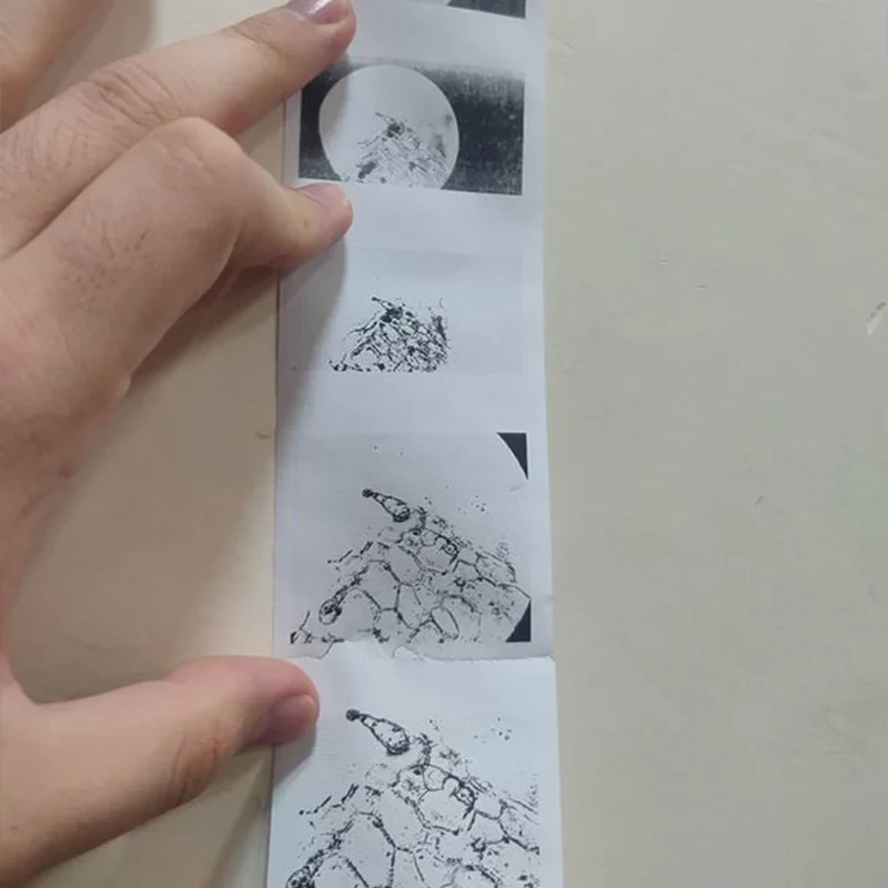 پرینتر حرارتی مدل گربه ای