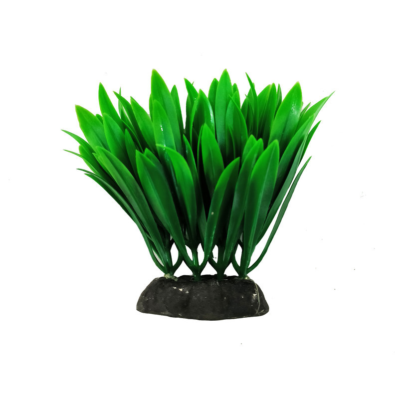 گیاه تزیینی آکواریوم کد S03 مجموعه 10 عددی