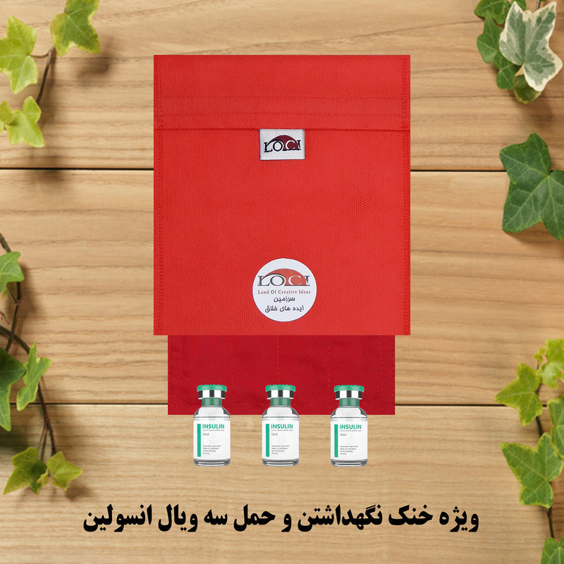 کیف خنک نگهدارنده انسولین لوک آی مدل 3 ویال کد 00 مجموعه 2 عددی